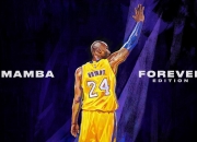 熊猫体育-卢卡库扛起全队，比利时绝境翻盘喀麦隆的战术与意志之战