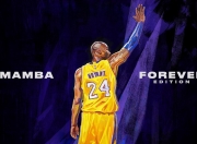 熊猫体育-卢卡库扛起全队，比利时绝境翻盘喀麦隆的战术与意志之战