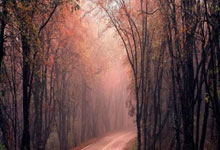 熊猫体育世界杯-当丹佛高原的爆发遇上东方压哨绝杀，体育宇宙的奇妙交汇