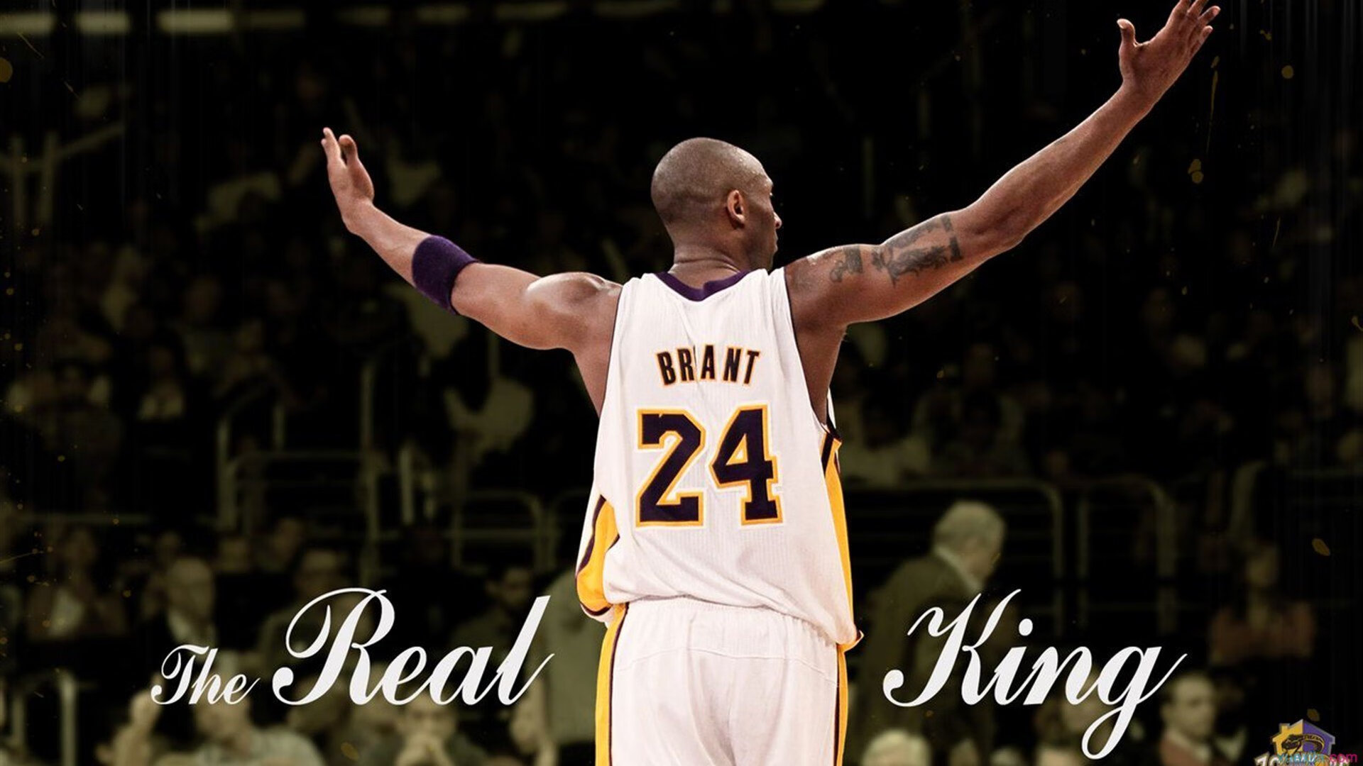 法网横扫戴维斯杯，德约科维奇高光表现背后的王者逻辑